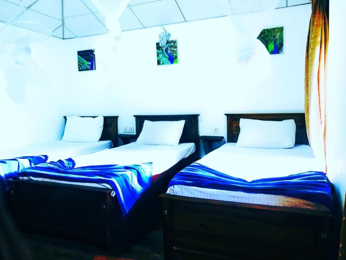 Homestay Peace Heaven
