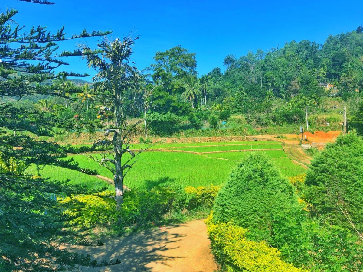 Peace Heaven Homestay Ella